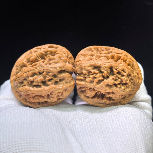 "Thick Ridge Lord of the Mountain Half-Wall" Cujin Zashandiao Banbi Wenwan Walnuts Pair | 39.0mm x 41.0mm | CJZSDBB-CG215E - ThePatinaProject