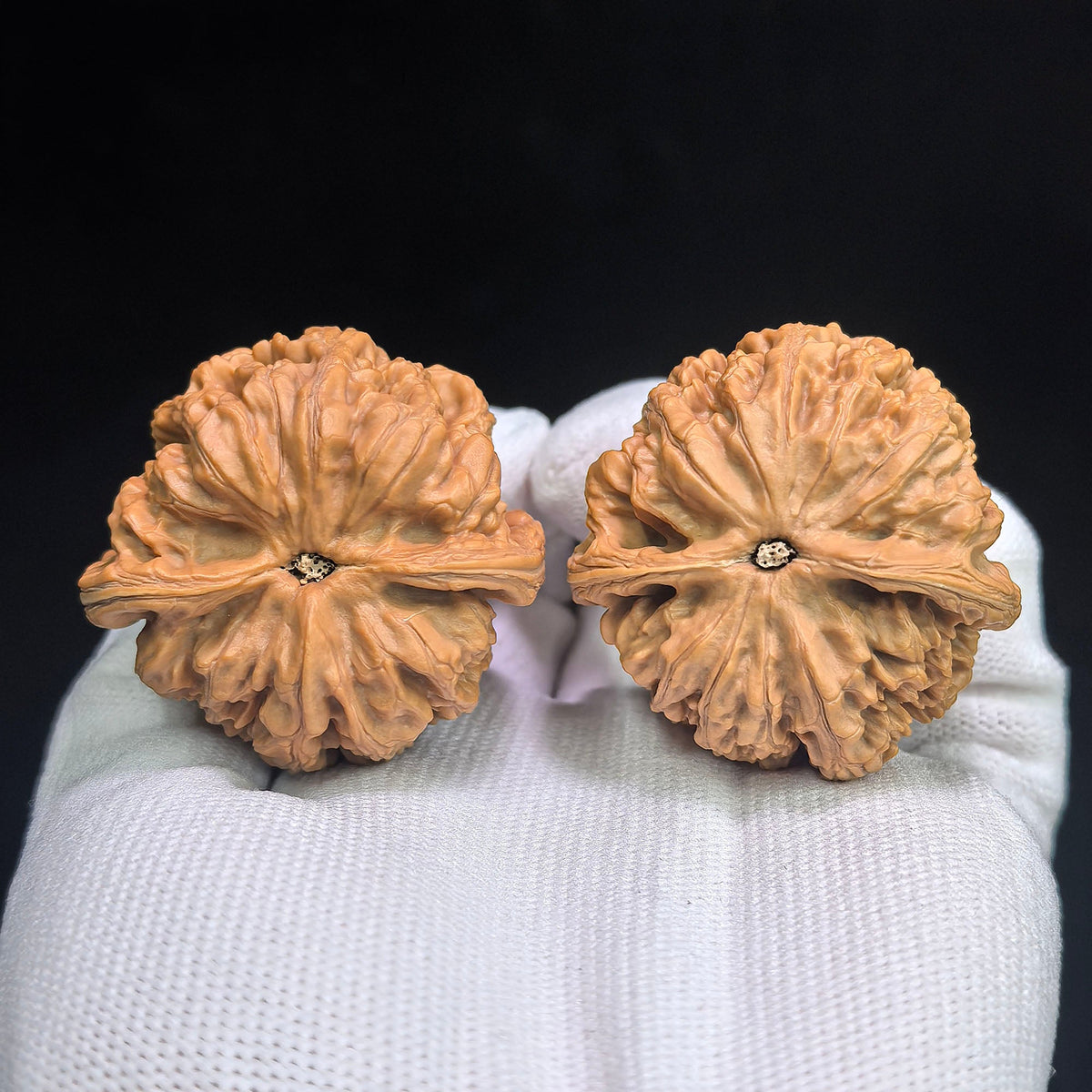 "Thick Vein" Classic Selection CJ-801 Heirloom Wenwan Walnuts Pair | 41.0mm x 41.0mm | CJ-801 - ThePatinaProject