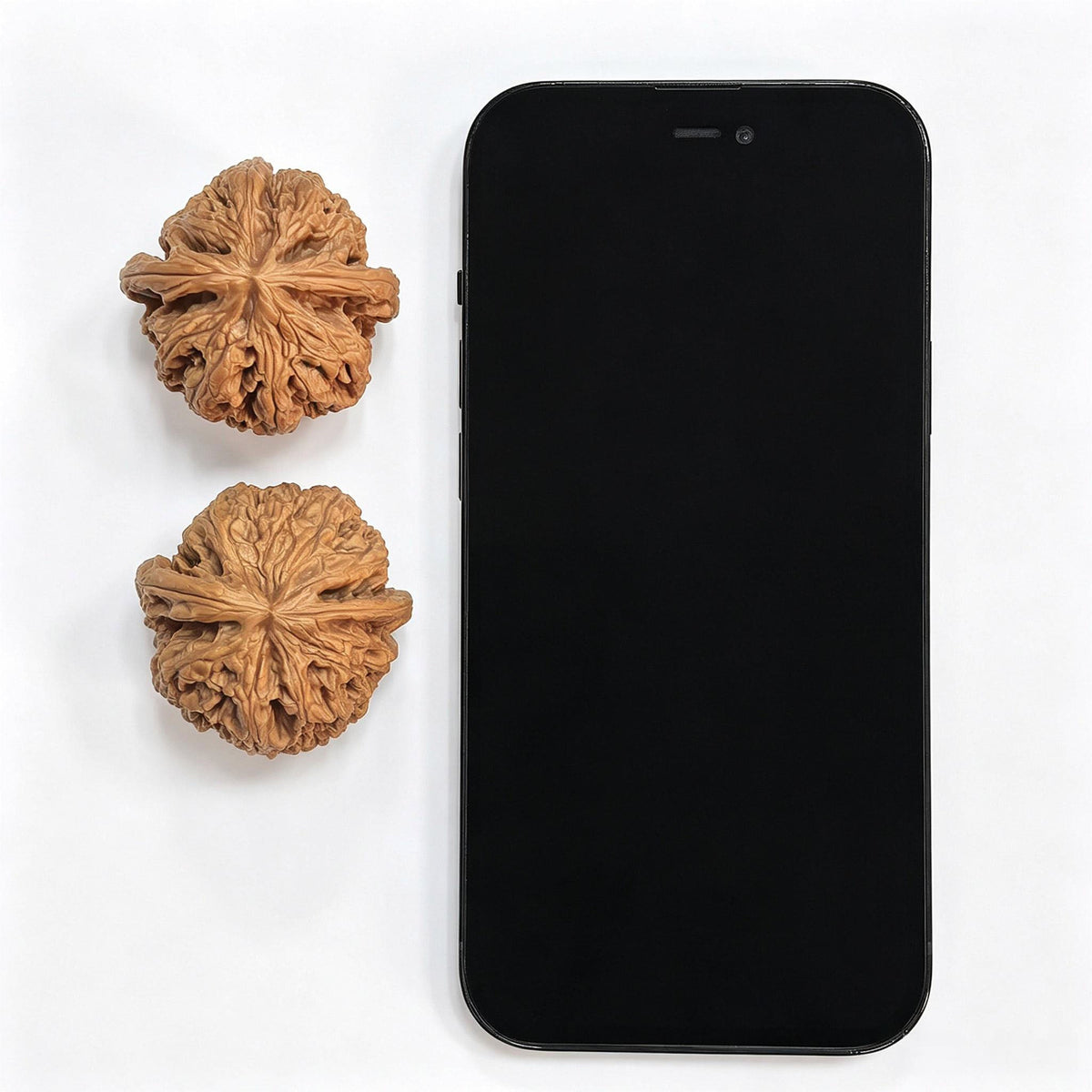 "Thick Vein" Classic Selection CJ-801 Heirloom Wenwan Walnuts Pair | 41.0mm x 41.0mm | CJ-801 - ThePatinaProject