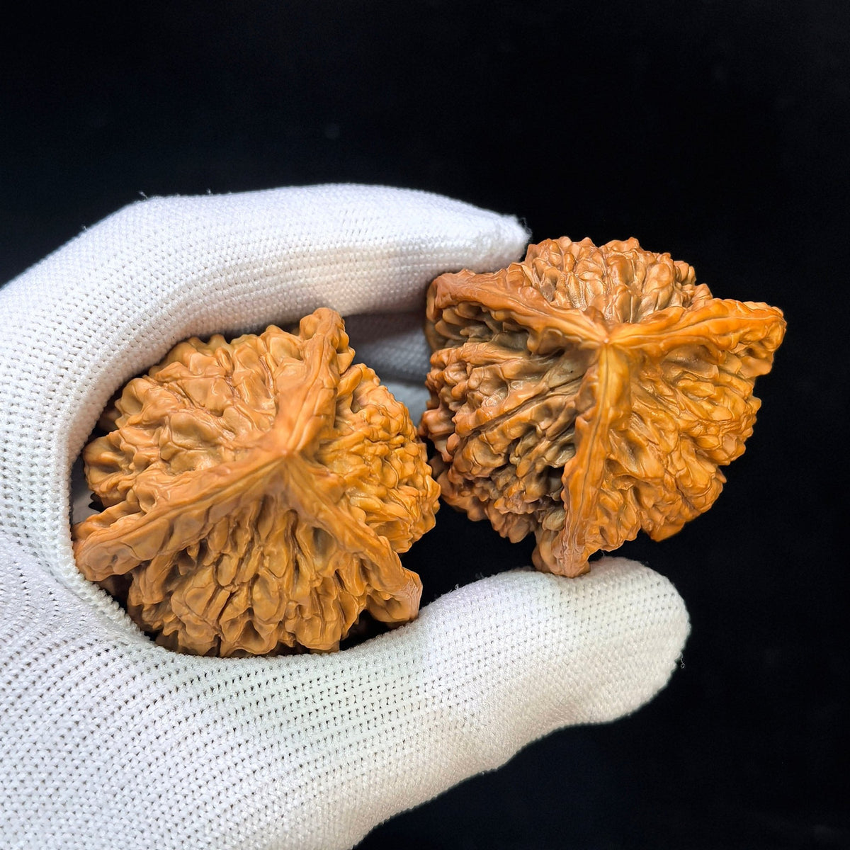 Three-Ribbed Giant Official's Hat (Da Guanmao Sanling) Scholar Walnuts Pair | Perfect 38.0mm x 38.0mm Isometric Profile | Collector Grade Masterpiece | Stock ID: DGMSN-02E - ThePatinaProject