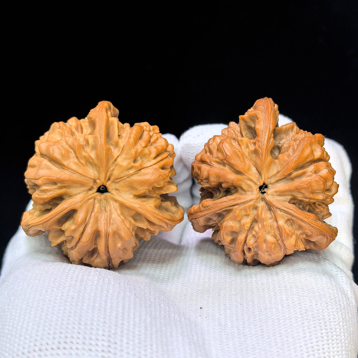 Three-Ribbed Giant Official's Hat (Da Guanmao Sanling) Scholar Walnuts Pair | Perfect 38.0mm x 38.0mm Isometric Profile | Collector Grade Masterpiece | Stock ID: DGMSN-02E - ThePatinaProject