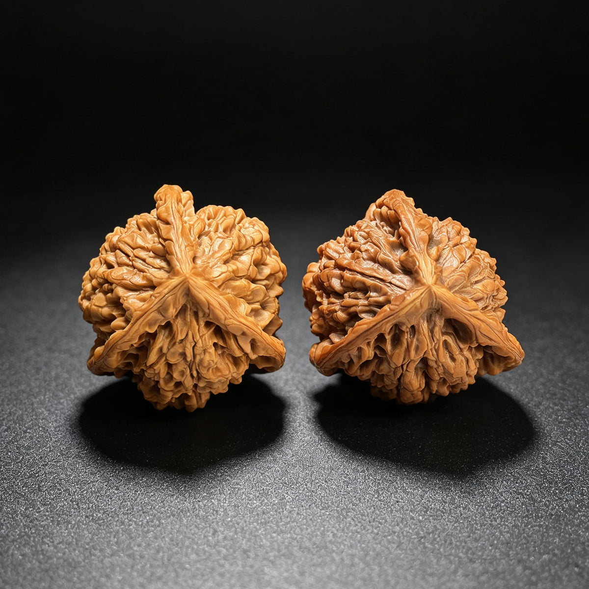 Three-Ribbed Giant Official's Hat (Da Guanmao Sanling) Scholar Walnuts Pair | Perfect 38.0mm x 38.0mm Isometric Profile | Collector Grade Masterpiece | Stock ID: DGMSN-02E - ThePatinaProject