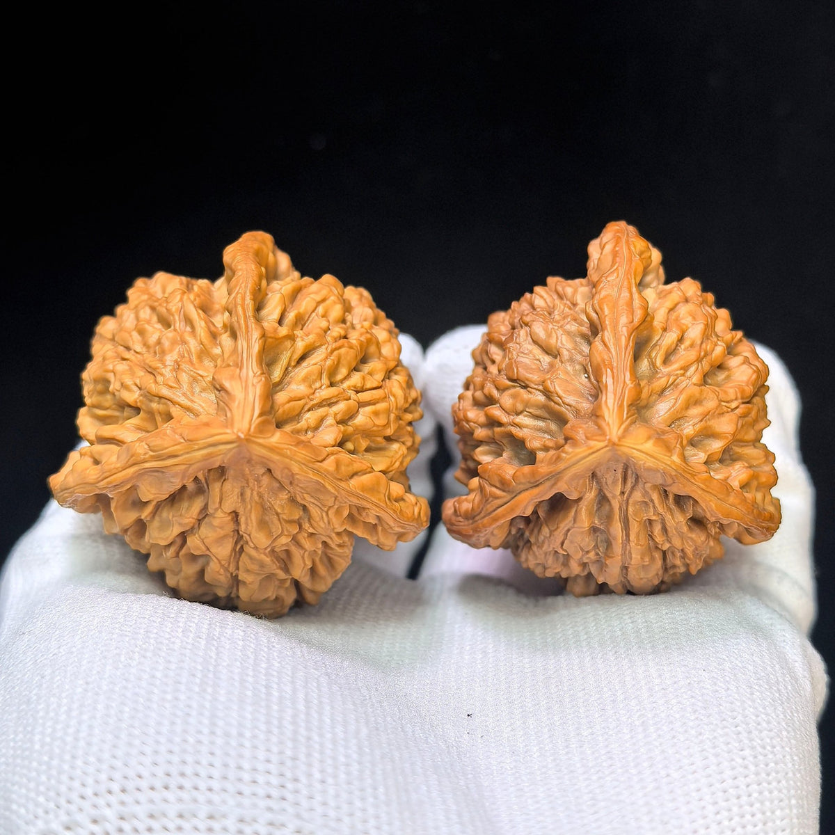 Three-Ribbed Giant Official's Hat (Da Guanmao Sanling) Scholar Walnuts Pair | Perfect 38.0mm x 38.0mm Isometric Profile | Collector Grade Masterpiece | Stock ID: DGMSN-02E - ThePatinaProject