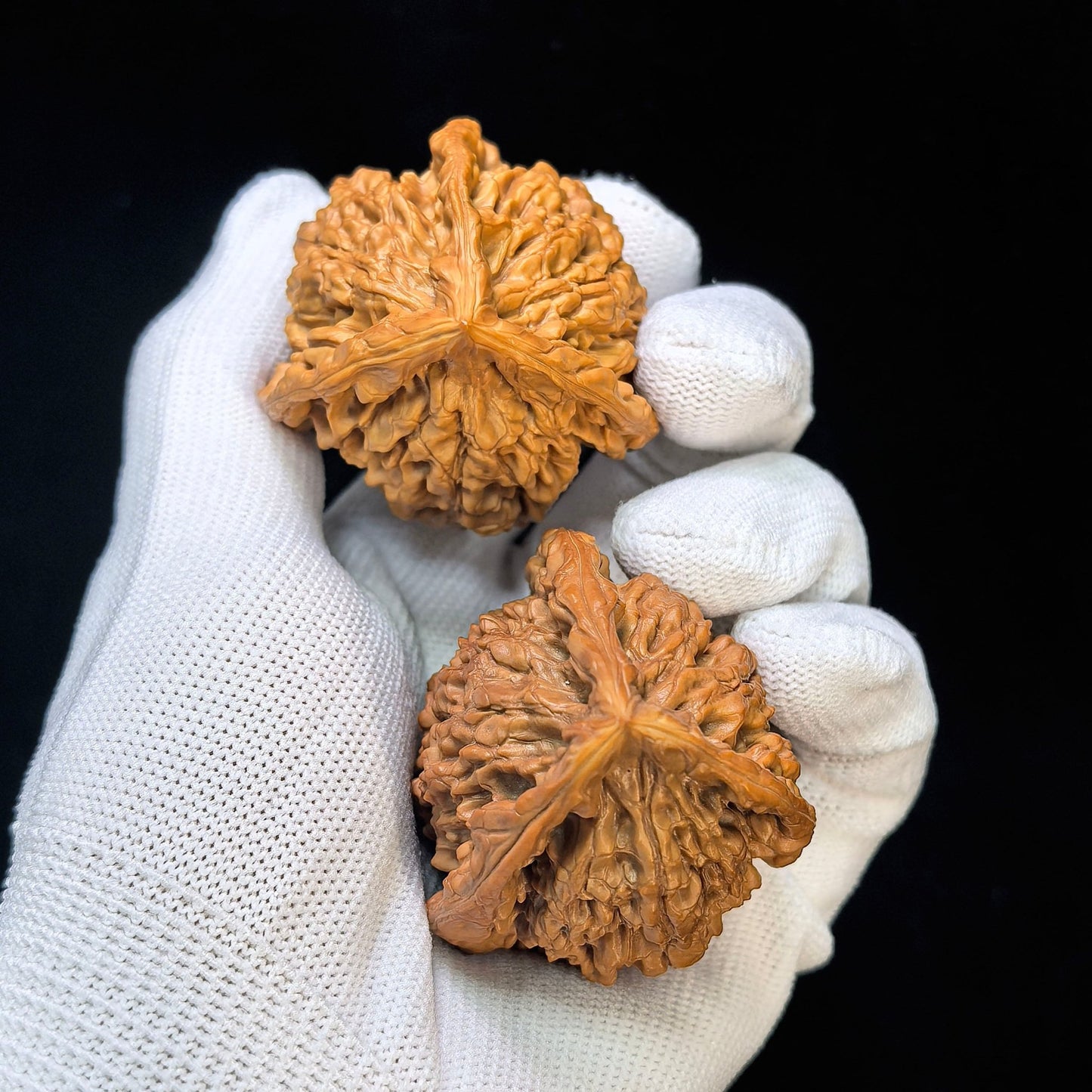 Three-Ribbed Giant Official's Hat (Da Guanmao Sanling) Scholar Walnuts Pair | Perfect 38.0mm x 38.0mm Isometric Profile | Collector Grade Masterpiece | Stock ID: DGMSN-02E - ThePatinaProject