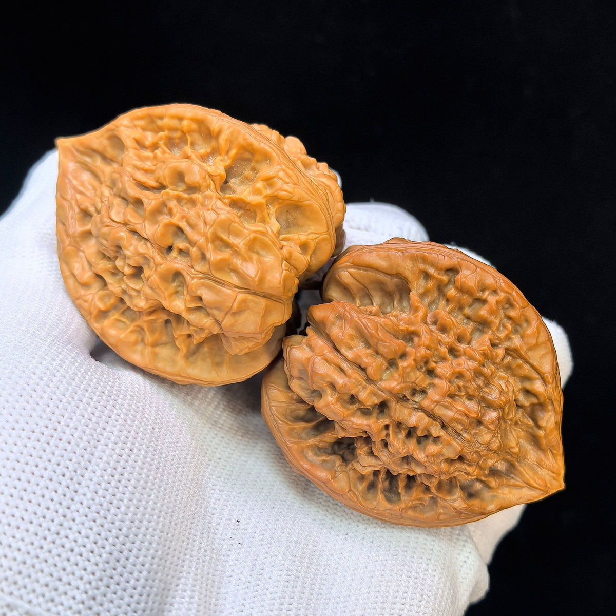 Three-Ribbed Giant Official's Hat (Da Guanmao Sanling) Scholar Walnuts Pair | Perfect 38.0mm x 38.0mm Isometric Profile | Collector Grade Masterpiece | Stock ID: DGMSN-02E - ThePatinaProject