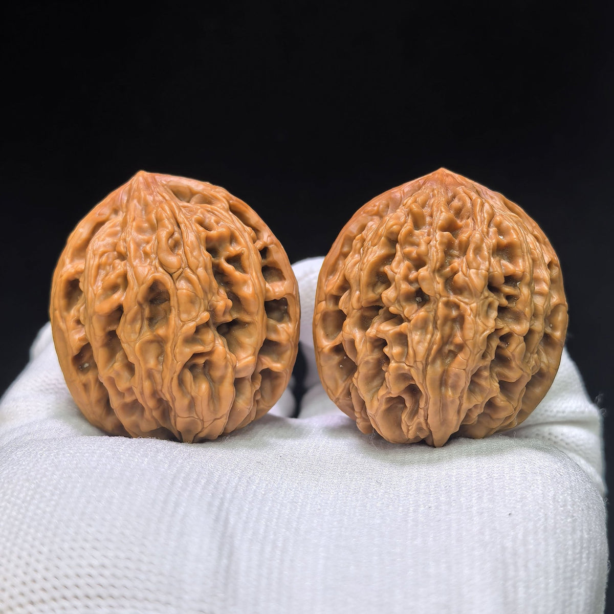 Three-Ribbed "Nine Dragons Sinew" (Jiulongjin Sanling) Scholar Walnuts Pair | 38.0mm x 41.0mm | Deep-Belly Geometry | Singularities Grade Masterpiece | Stock ID: JLJSN-1401E - ThePatinaProject