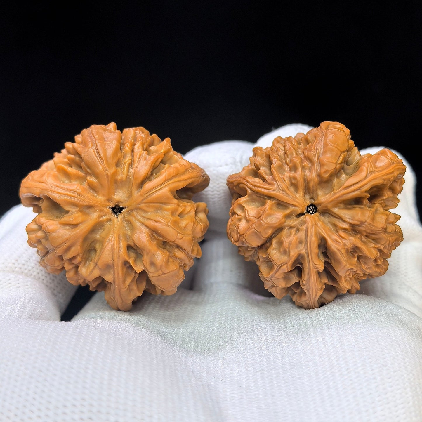 Three-Ribbed Official's Hat (Guanmao Sanling) Scholar Walnuts Pair | 38.0mm x 33.0mm | Collector Grade Masterpiece | Stock ID: GM-801S - ThePatinaProject