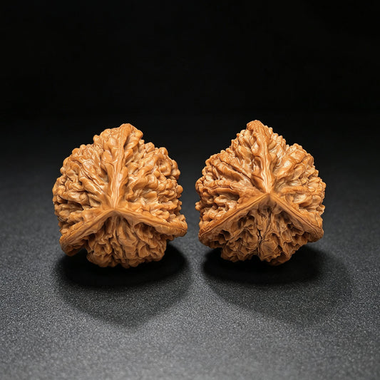 Three-Ribbed Official's Hat (Guanmao Sanling) Scholar Walnuts Pair | 38.0mm x 33.0mm | Collector Grade Masterpiece | Stock ID: GM-801S - ThePatinaProject