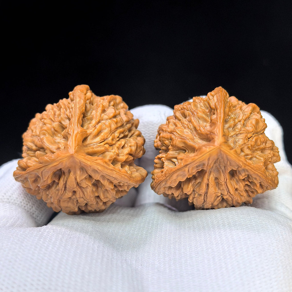 Three-Ribbed Official's Hat (Guanmao Sanling) Scholar Walnuts Pair | 38.0mm x 33.0mm | Collector Grade Masterpiece | Stock ID: GM-801S - ThePatinaProject