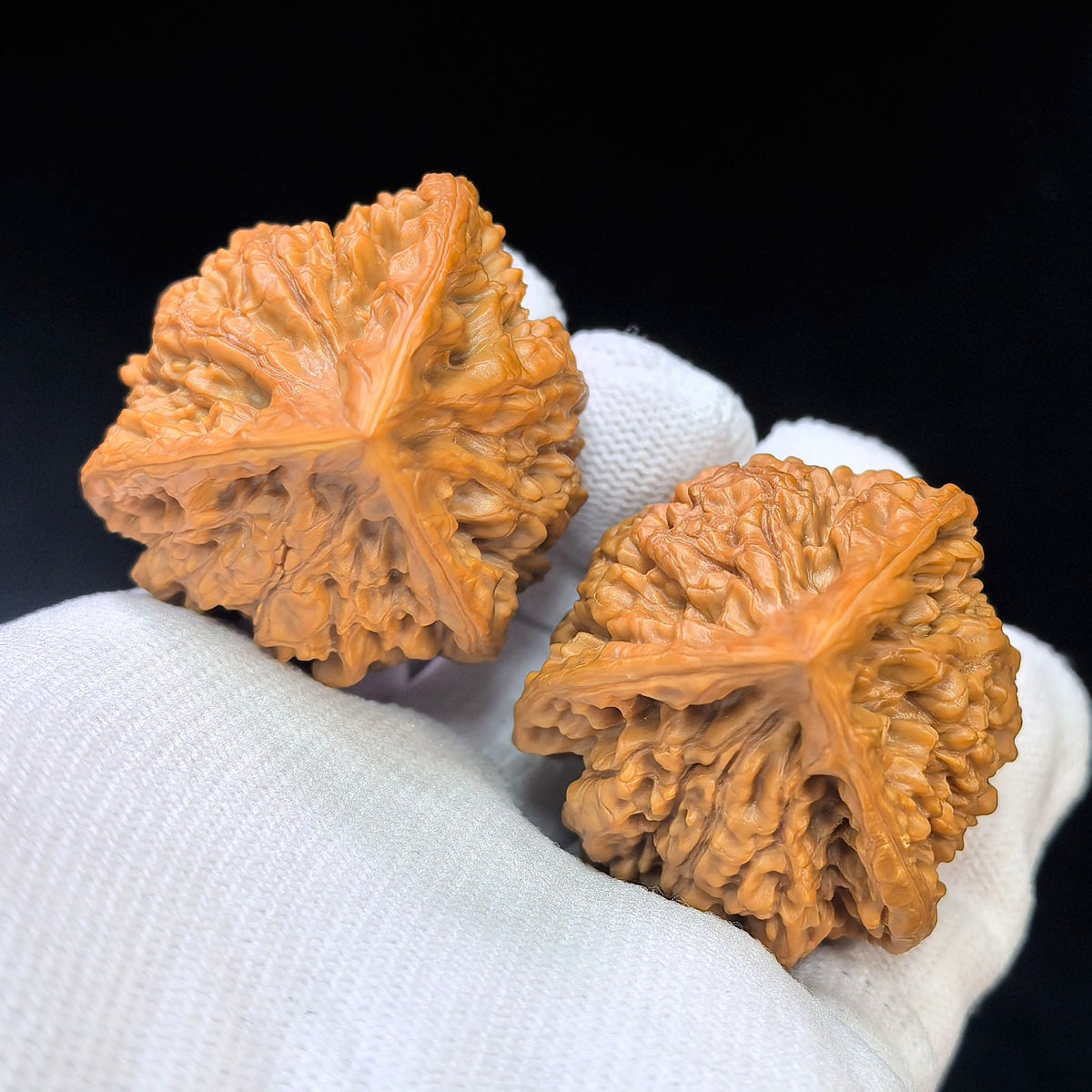 Three-Ribbed Official's Hat (Guanmao Sanling) Scholar Walnuts Pair | 38.0mm x 33.0mm | Collector Grade Masterpiece | Stock ID: GM-801S - ThePatinaProject