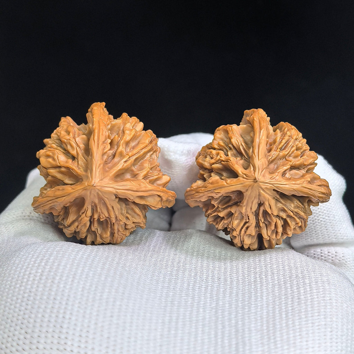 "Three-Ribbed Reaching Heaven Eight" Tongtianba Sanling TTBSN-SY1H3 Rare Wenwan Walnuts Pair | 35.0mm x 36.0mm | TTBSN-SY1H3 - ThePatinaProject