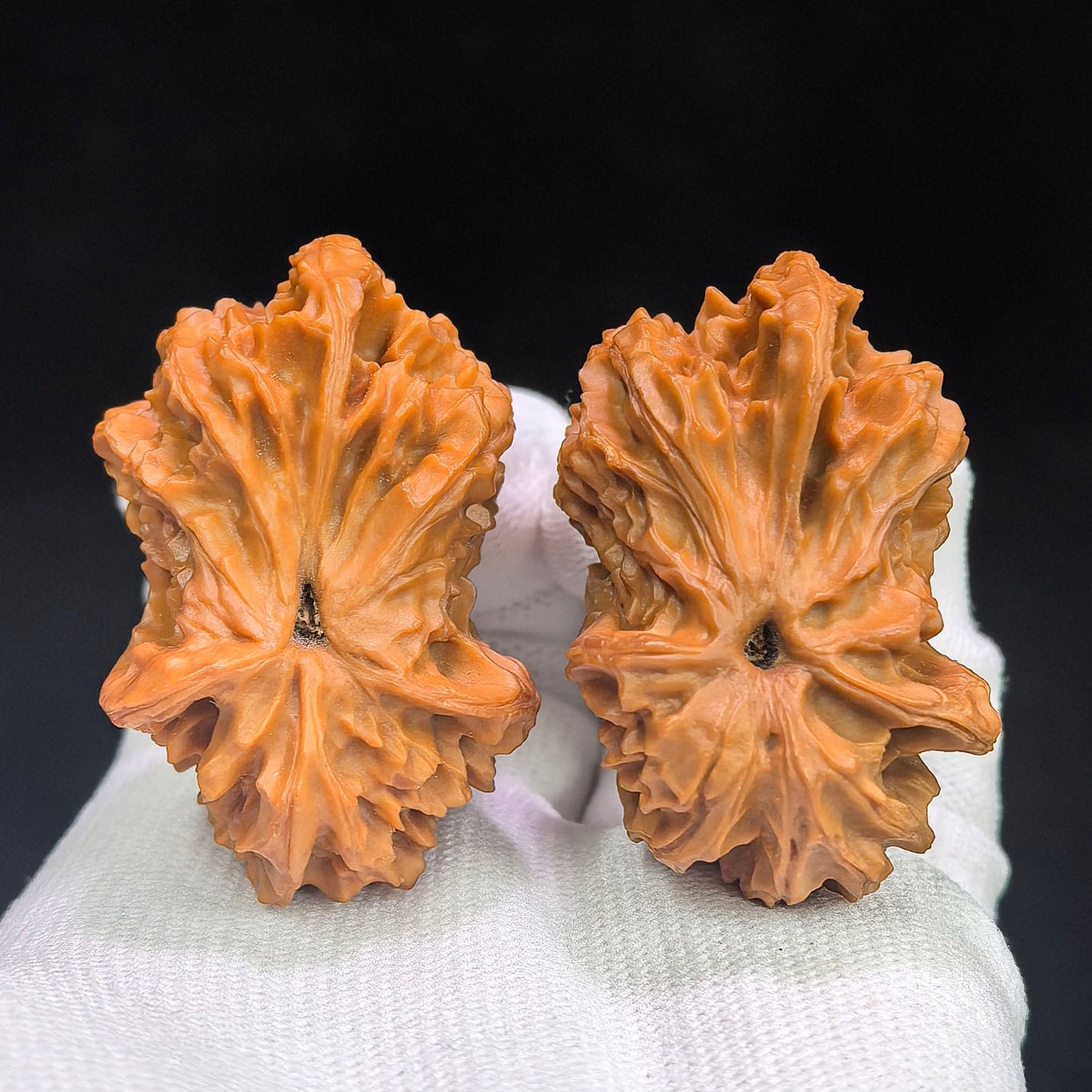 "Three-Ridge Angry Bird" Sanleng Fengnu De Dashiao SNDL-CWA0E Wenwan Walnuts Collector Pair | 31.0mm x 49.0mm | Stock ID: SNDL-CWA0E - ThePatinaProject