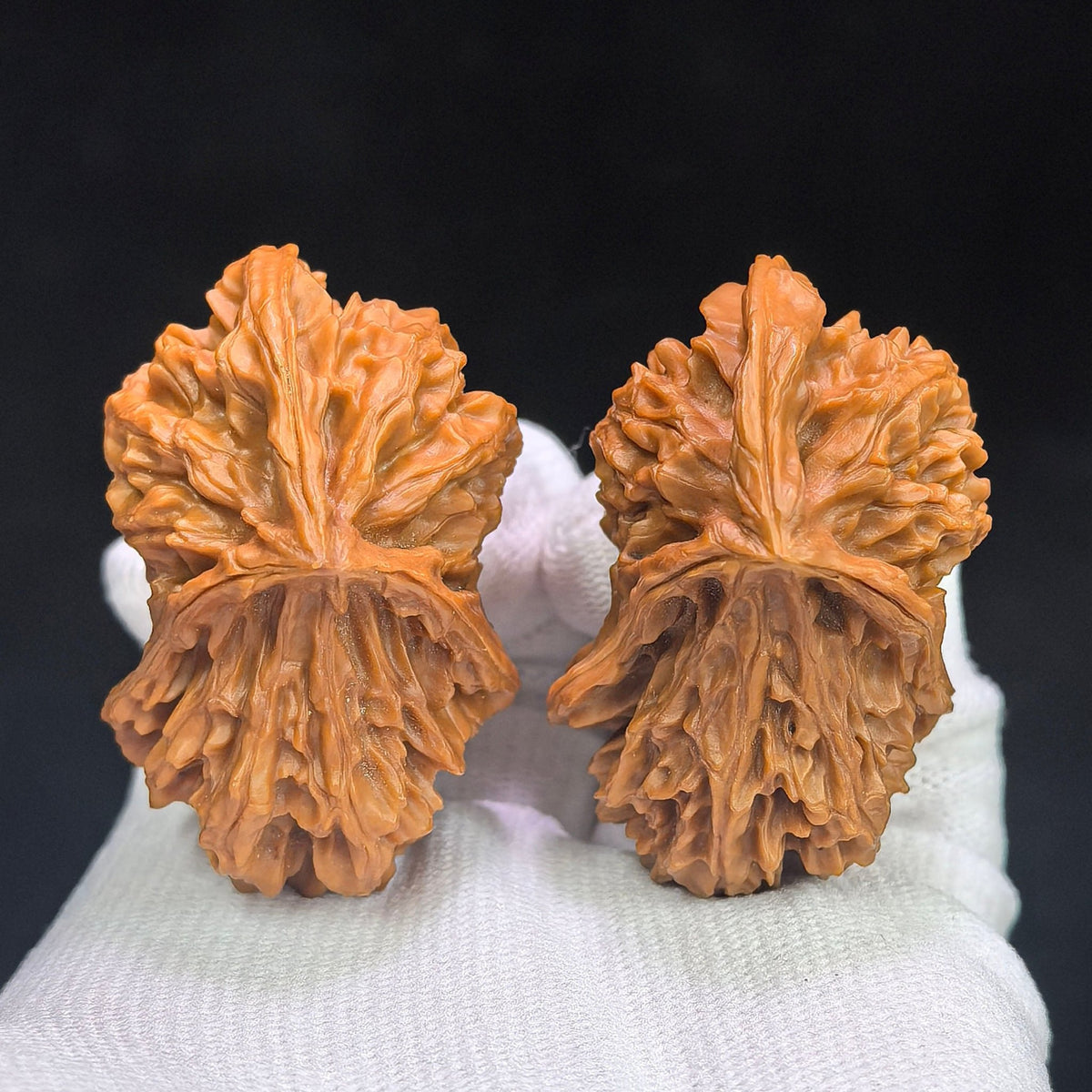 "Three-Ridge Angry Bird" Sanleng Fengnu De Dashiao SNDL-CWA0E Wenwan Walnuts Collector Pair | 31.0mm x 49.0mm | Stock ID: SNDL-CWA0E - ThePatinaProject