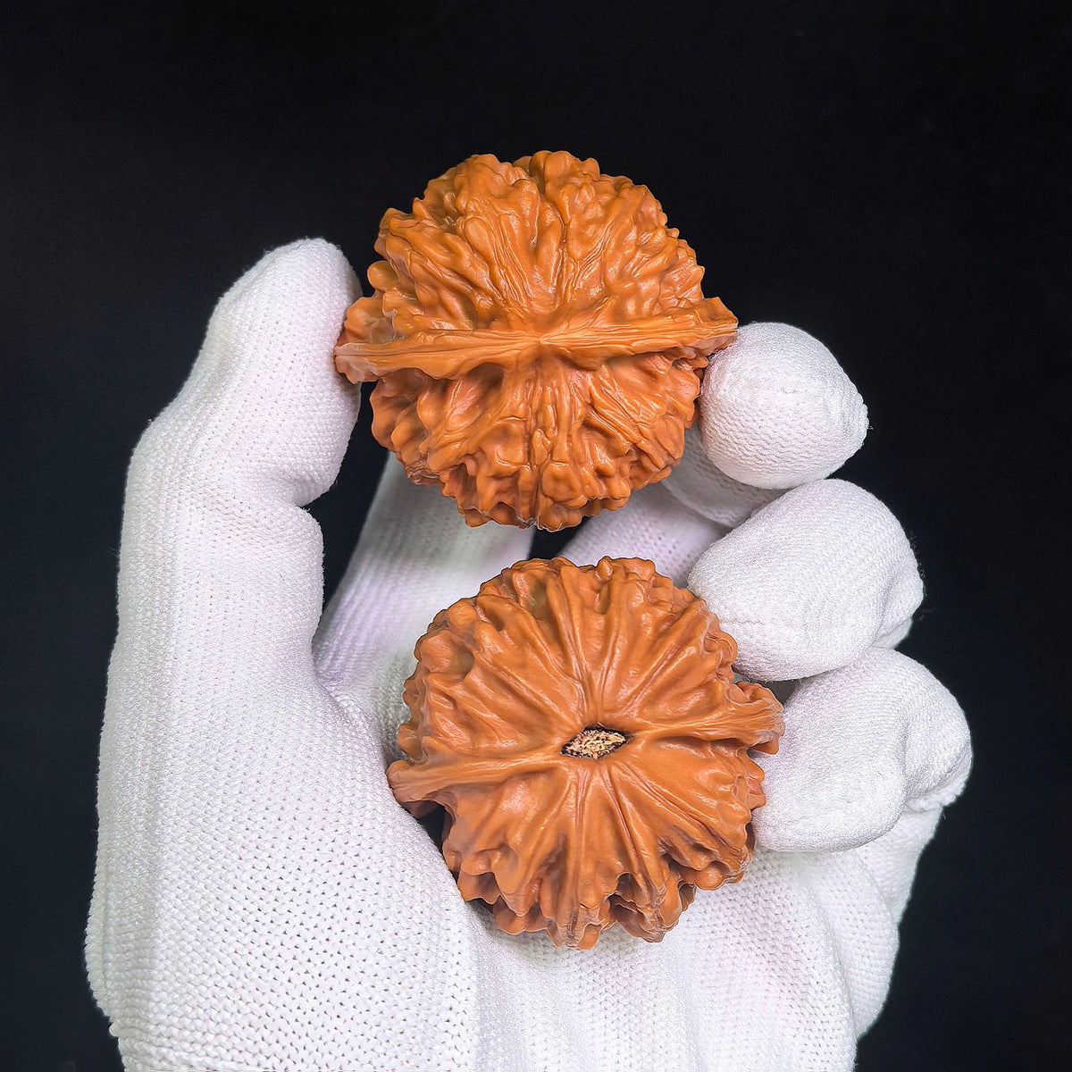 “Tiandi” Heaven & Earth Broad-Bodied Wenwan Walnuts Pair | 44.0mm × 41.0mm | TD-CWC4E - ThePatinaProject