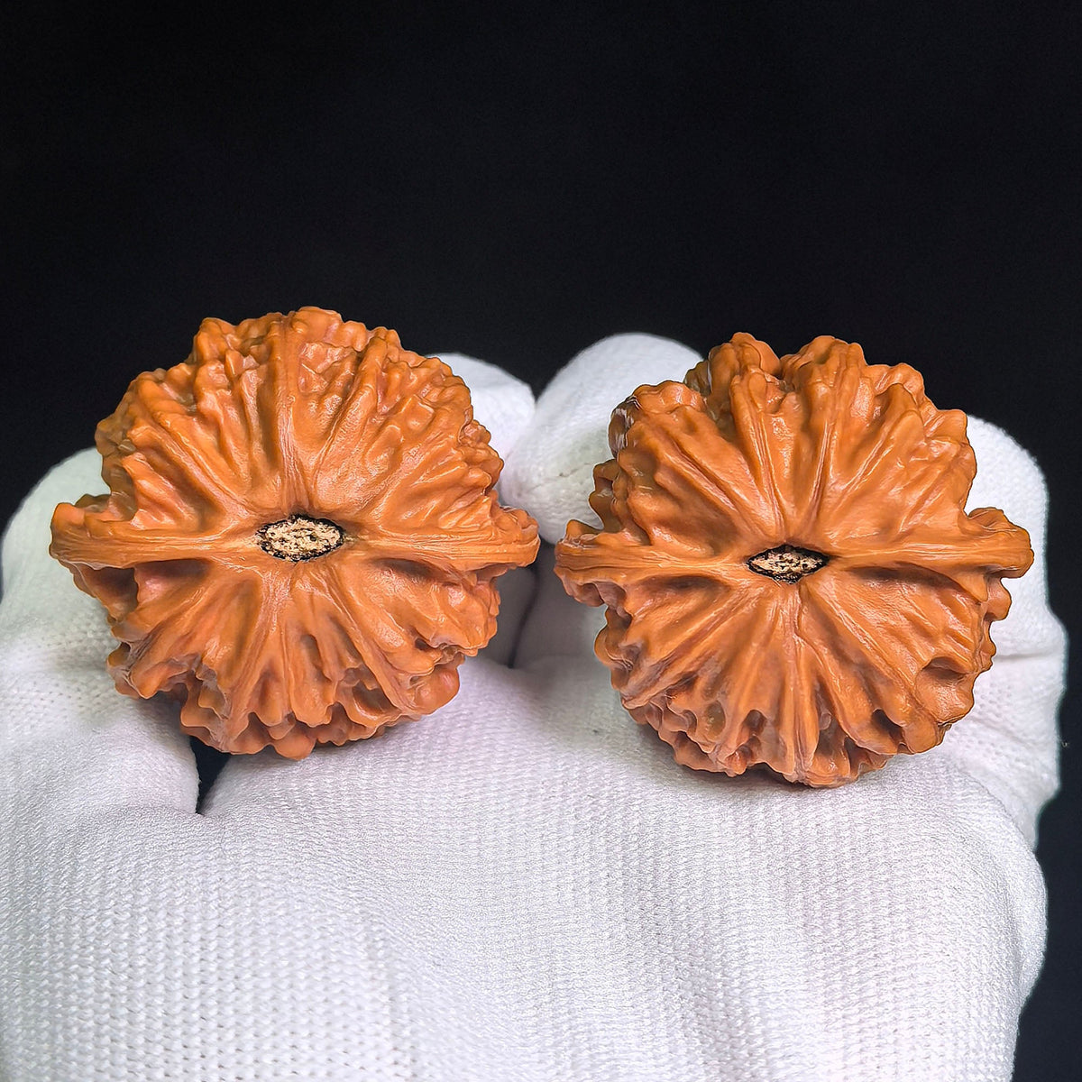 “Tiandi” Heaven & Earth Broad-Bodied Wenwan Walnuts Pair | 44.0mm × 41.0mm | TD-CWC4E - ThePatinaProject