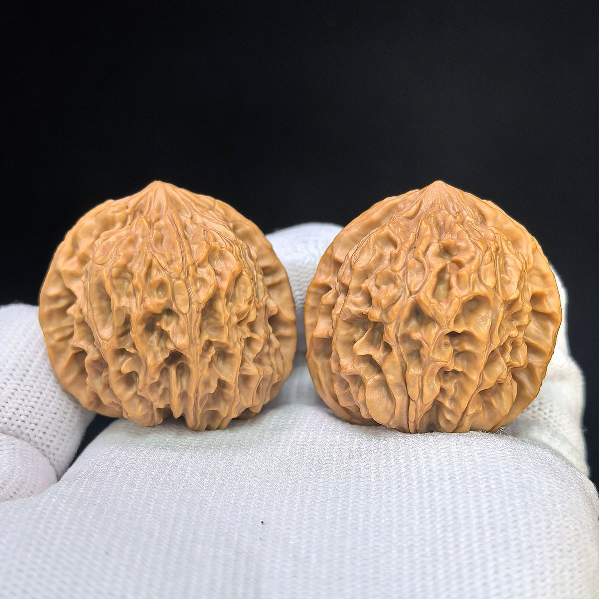 "Timber Wolf" (Xiao Ye Lang) Scholar Walnuts Pair | 36.0mm x 34.0mm | Compact Low-Profile Stance | Stock ID: YL-SY1B2 - ThePatinaProject