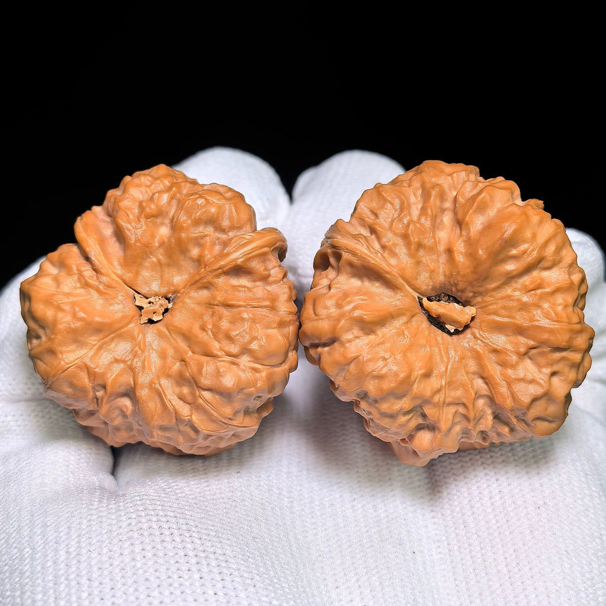 "Toad Head Arrow-Foot Frog Awakening Lion" Hamatou Jianzuwa Xingshi HMTXS-CWB7E Wenwan Walnuts Collector Pair | 38.0mm x 41.0mm | Stock ID: HMTXS-CWB7E - ThePatinaProject