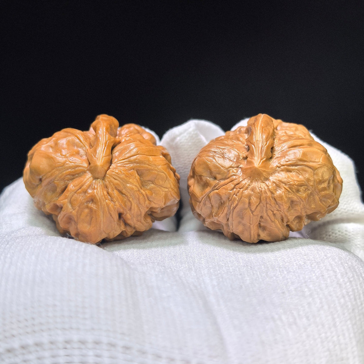 "Toad Head Eagle Beak Smooth Sailing" Hamatyzyf-CG200E Wenwan Walnuts Pair | 38.0mm x 39.0mm | HMTYZYF-CG200E - ThePatinaProject