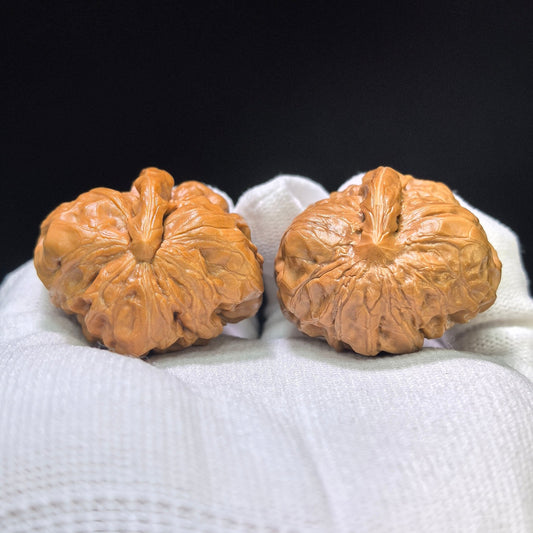 "Toad Head Eagle Beak Smooth Sailing" Hamatyzyf-CG200E Wenwan Walnuts Pair | 38.0mm x 39.0mm | HMTYZYF-CG200E - ThePatinaProject