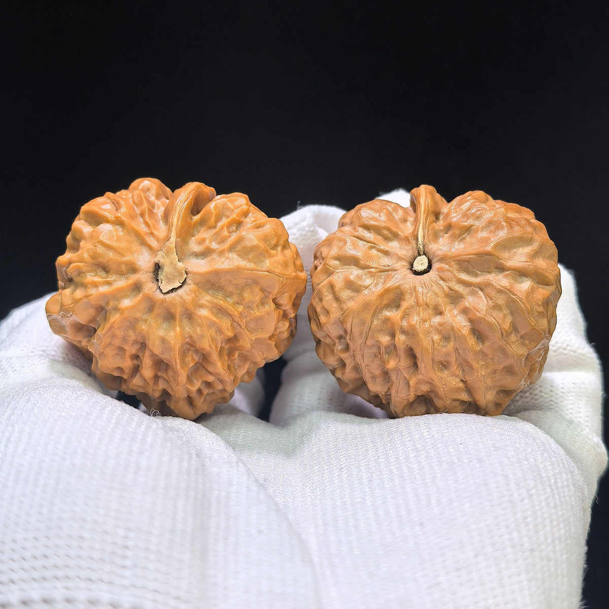 "Toad Head Eagle Beak Smooth Sailing" Hamatyzyf-CG200E Wenwan Walnuts Pair | 38.0mm x 39.0mm | HMTYZYF-CG200E - ThePatinaProject