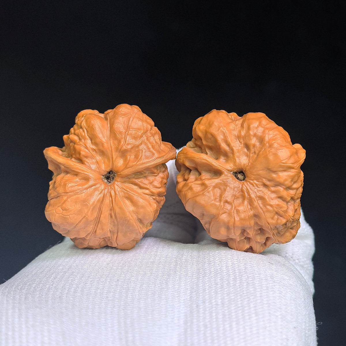 Toad Head “Flying Snake” Wenwan Walnut Pair — 34.0mm x 39.0mm | HMTZF-CG245E - ThePatinaProject