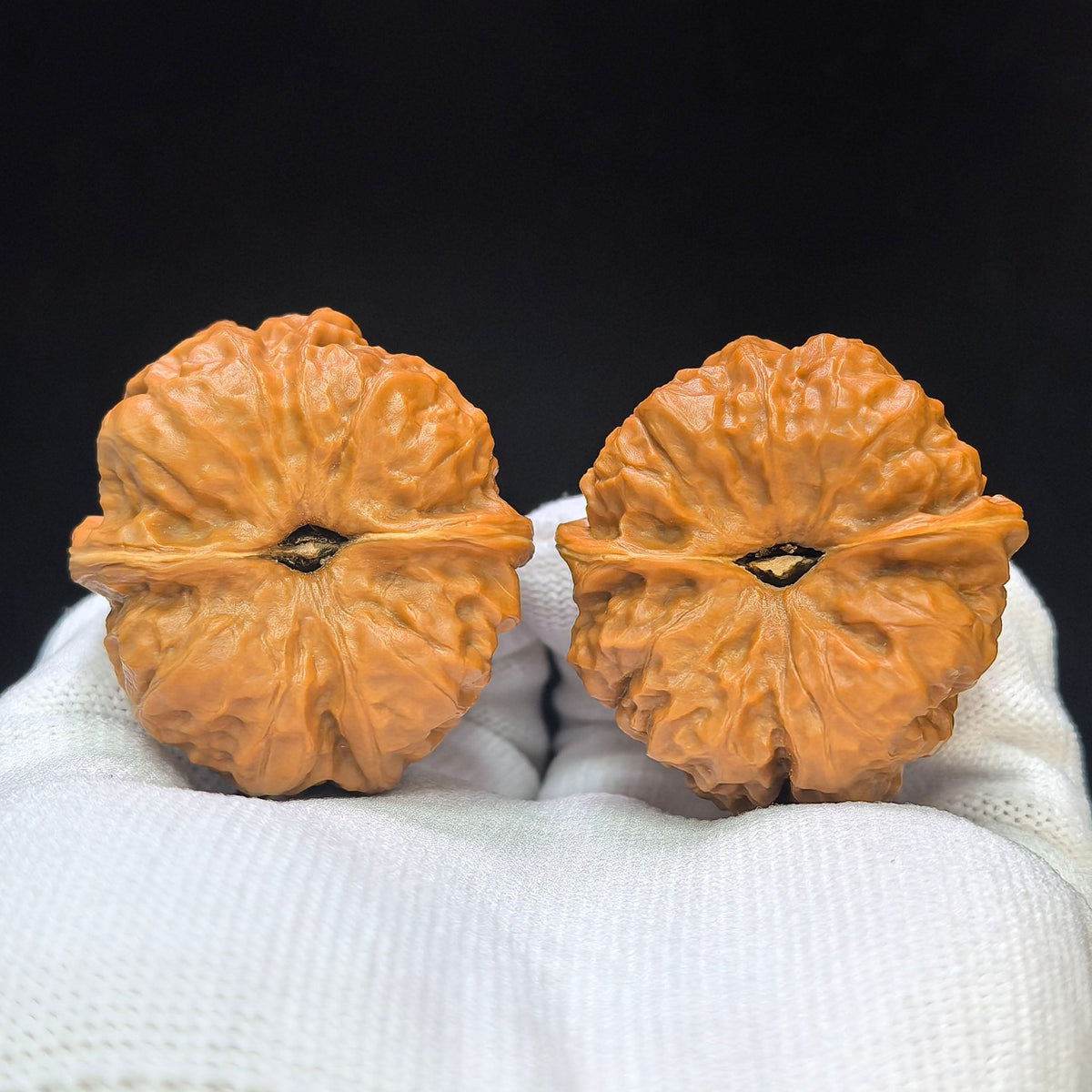 "Toad Head" (Ha Ma Tou) Scholar Walnuts Pair | 38.0mm x 42.0mm | Deep-Belly Low-Profile Stance | S+ Grade | Stock ID: HMT-1505C - ThePatinaProject