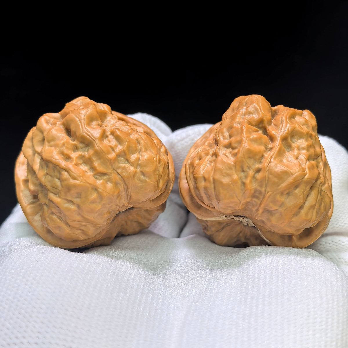 "Toad Head" Hama Tou Wenwan Walnuts Pair | 40.0mm x 40.0mm | HMT-02SY - ThePatinaProject