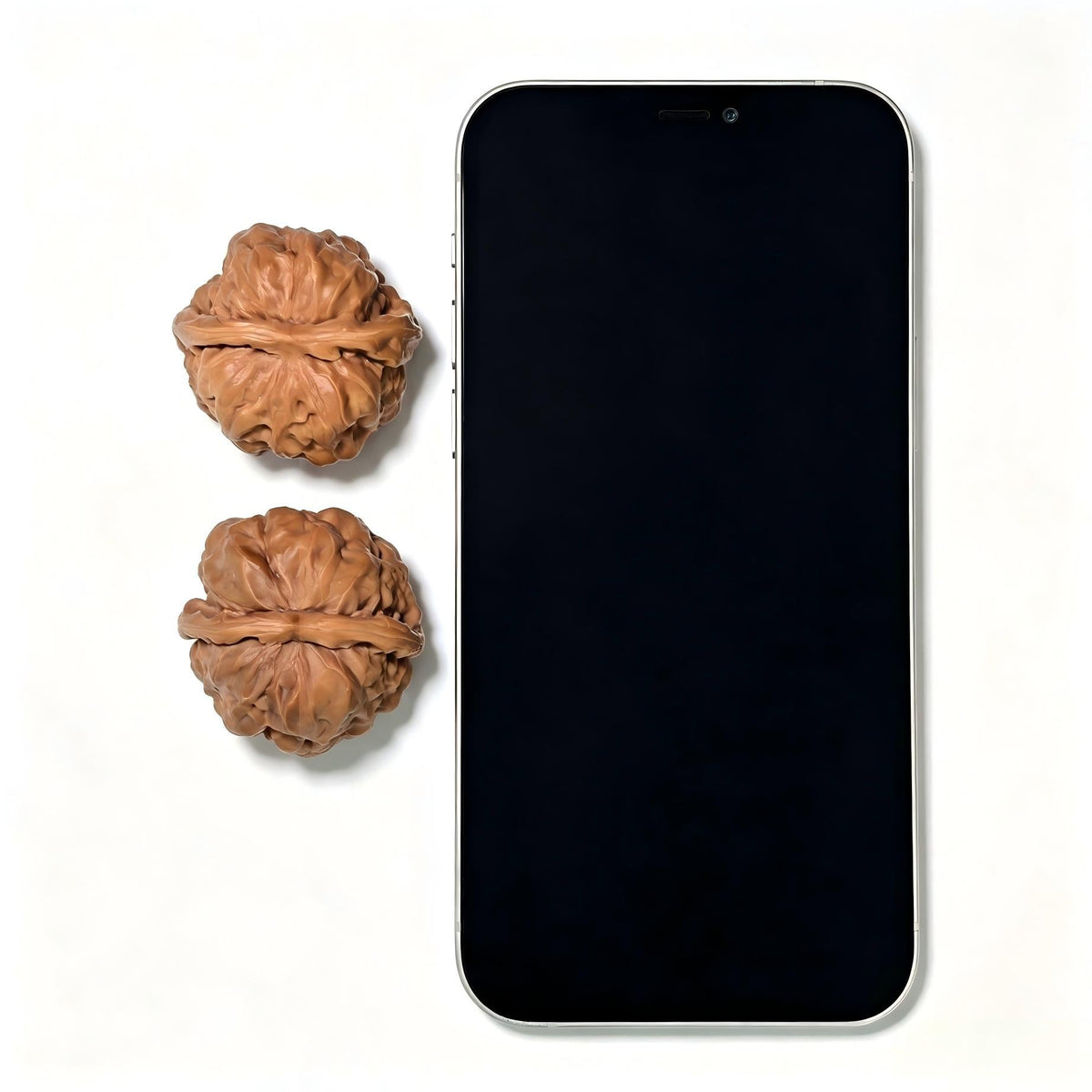 "Toad Head" Hamatou Classic Heritage Low-Profile Wenwan Walnuts Pair | 38.0mm x 38.0mm | HMT-1501C - ThePatinaProject