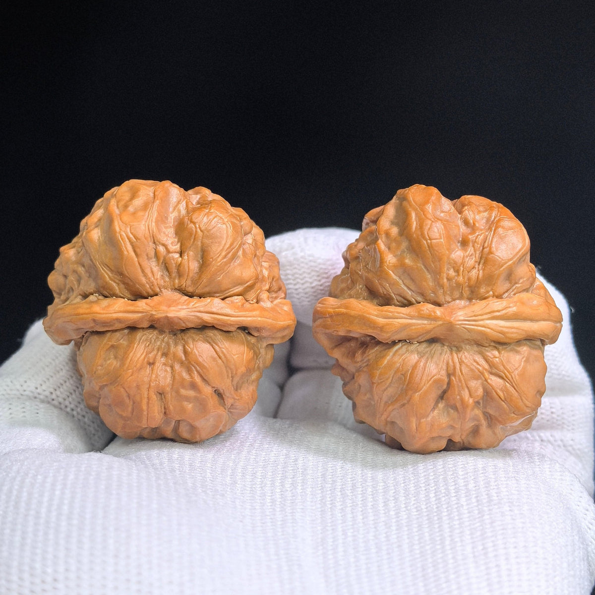 "Toad Head" Hamatou HMT-SY1G5 Classic Wenwan Walnuts Pair | 37.0mm x 37.0mm | HMT-SY1G5 - ThePatinaProject