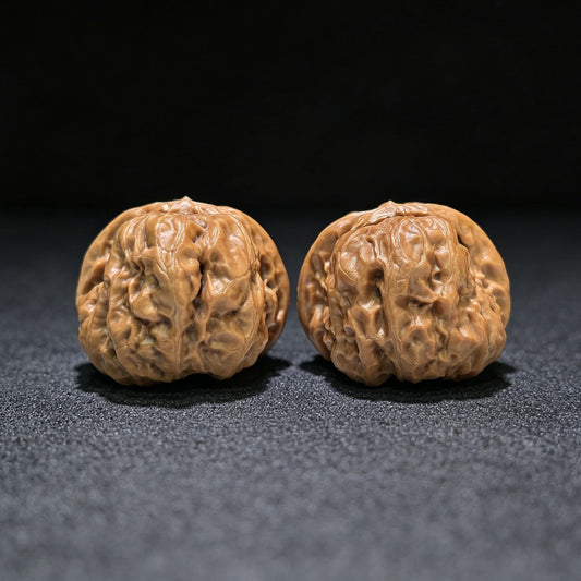"Toad Head" Hamatou Wenwan Walnuts (Pair) | 38.0mm x 38.0mm | Stock ID: W-1107 - ThePatinaProject