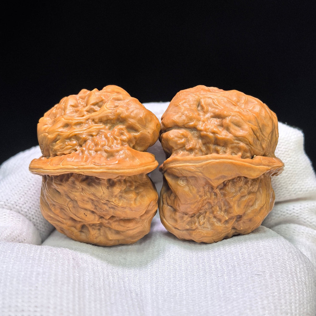 "Toad Head Hawk-Beak Vulture" (Hamatou Yingzui Zuoshandiao) Scholar Walnuts Pair | 37.0mm x 41.0mm | Inverse Deep-Belly Profile | Singularities Grade Masterpiece | Stock ID: HMTYZZSD-CG202E - ThePatinaProject