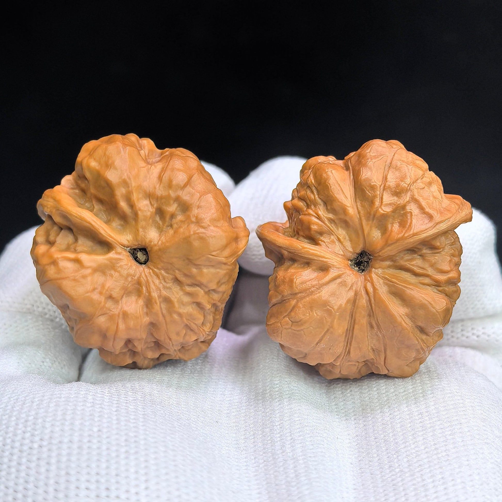 Toad Head “Seated Buddha with Turtle-Shell Back” Scholar Walnut Pair — 34.0mm x 39.0mm | HMTZF-CG245E - ThePatinaProject