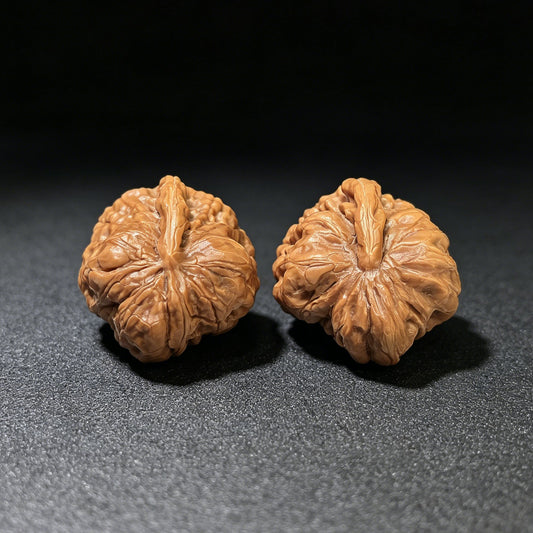 "Toad Head Smooth-Sailing" (Hamatou Yifan Fengshun) Scholar Walnuts Pair | 27.0mm x 35.0mm | Miniature Inverse Profile | Singularities Grade Masterpiece | Stock ID: HMTYF-401E - ThePatinaProject