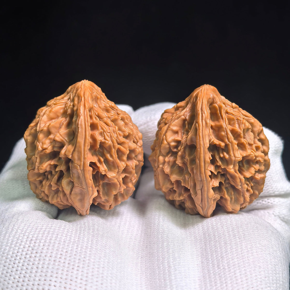 "Tong Tian Ba Tian Can Jiao" TTB-CG1A5E Mutational Lineage Wenwan Walnuts Pair | 40.0mm x 37.0mm | Stock ID: TTB-CG1A5E - ThePatinaProject