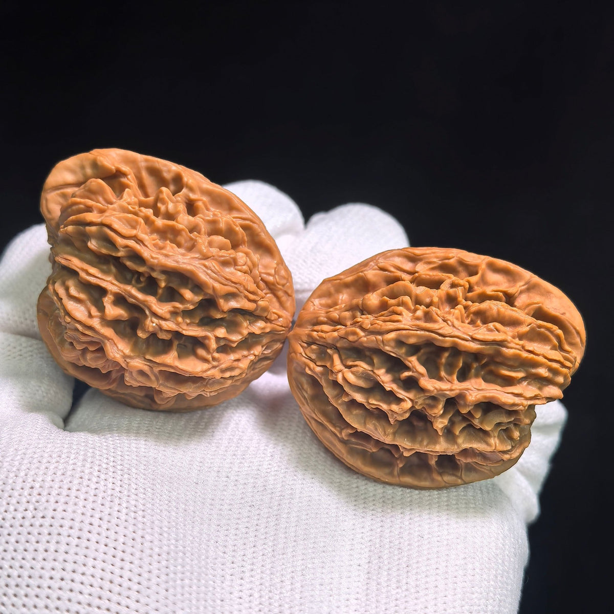 "Tong Tian Ba Tian Can Jiao" TTB-CG1A5E Mutational Lineage Wenwan Walnuts Pair | 40.0mm x 37.0mm | Stock ID: TTB-CG1A5E - ThePatinaProject
