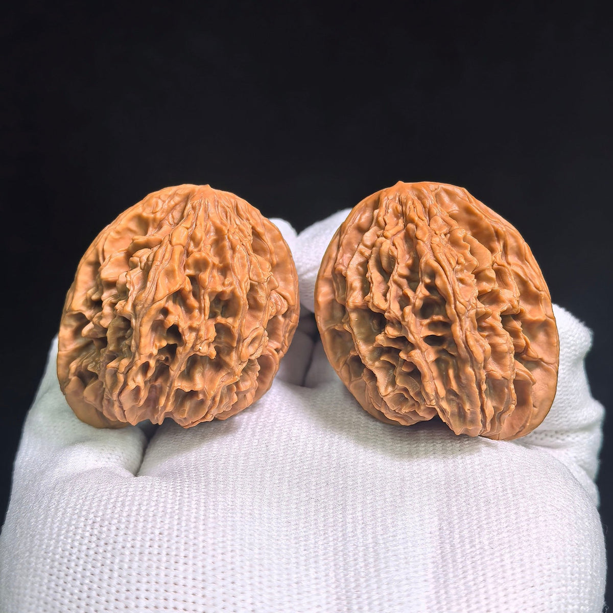 "Tong Tian Ba Tian Can Jiao" TTB-CG1A5E Mutational Lineage Wenwan Walnuts Pair | 40.0mm x 37.0mm | Stock ID: TTB-CG1A5E - ThePatinaProject