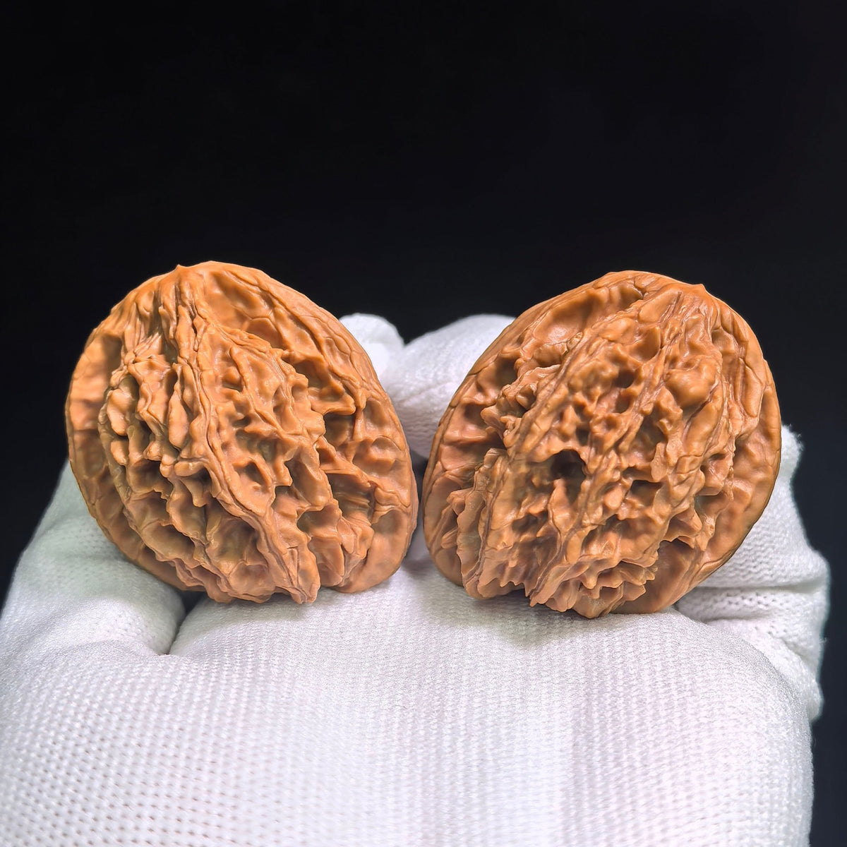 "Tong Tian Ba Tian Can Jiao" TTB-CG1A5E Mutational Lineage Wenwan Walnuts Pair | 40.0mm x 37.0mm | Stock ID: TTB-CG1A5E - ThePatinaProject