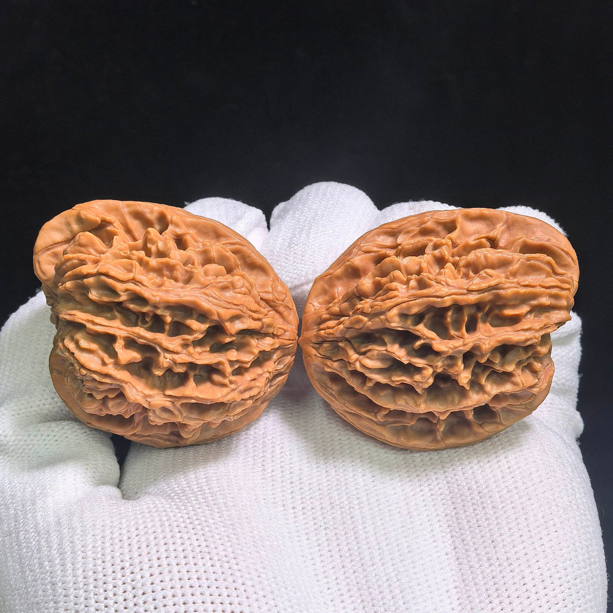 "Tong Tian Ba Tian Can Jiao" TTB-CG1A5E Mutational Lineage Wenwan Walnuts Pair | 40.0mm x 37.0mm | Stock ID: TTB-CG1A5E - ThePatinaProject