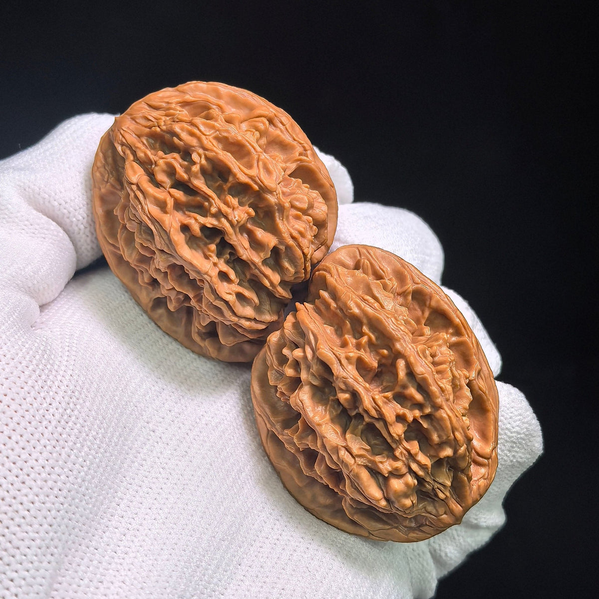 "Tong Tian Ba Tian Can Jiao" TTB-CG1A5E Mutational Lineage Wenwan Walnuts Pair | 40.0mm x 37.0mm | Stock ID: TTB-CG1A5E - ThePatinaProject
