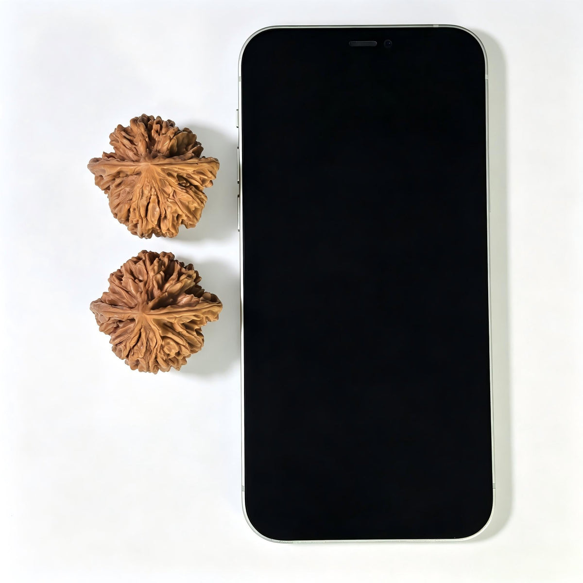 "Tong Tian Ba" TTB-1602 Collector Lineage Wenwan Walnuts Pair | 36.0mm x 34.0mm | Stock ID: TTB-1602 - ThePatinaProject