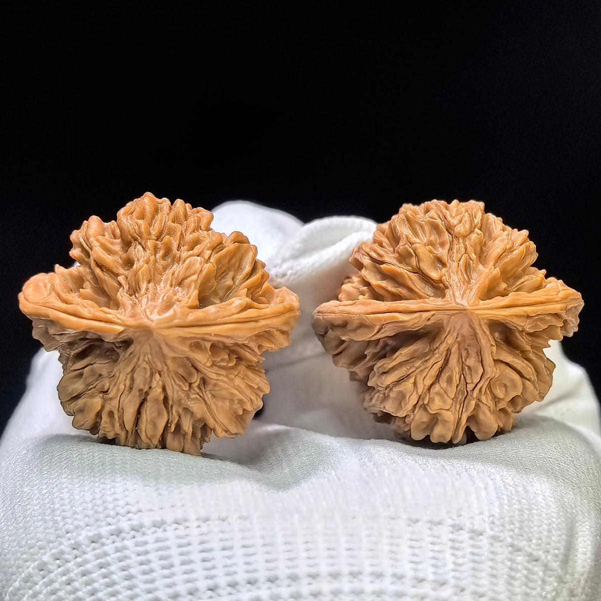 "Tong Tian Ba" TTB-1602 Collector Lineage Wenwan Walnuts Pair | 36.0mm x 34.0mm | Stock ID: TTB-1602 - ThePatinaProject