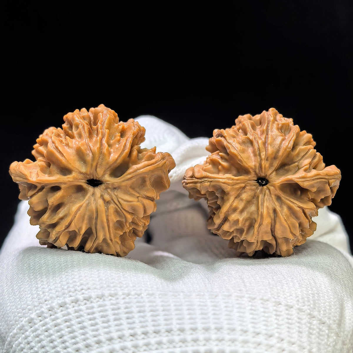 "Tong Tian Ba" TTB-1602 Collector Lineage Wenwan Walnuts Pair | 36.0mm x 34.0mm | Stock ID: TTB-1602 - ThePatinaProject