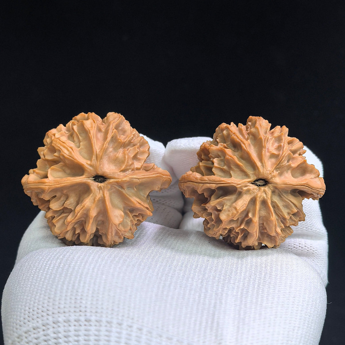 Top Scholar Crown Wenwan Walnut Pair — 45.0mm x 40.0mm | S-Grade Boutique | ZYG-SY1H1 - ThePatinaProject