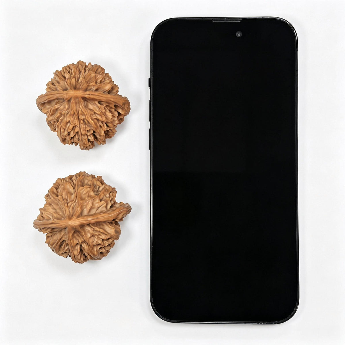 Top Scholar Crown Wenwan Walnut Pair — 45.0mm x 40.0mm | S-Grade Boutique | ZYG-SY1H1 - ThePatinaProject