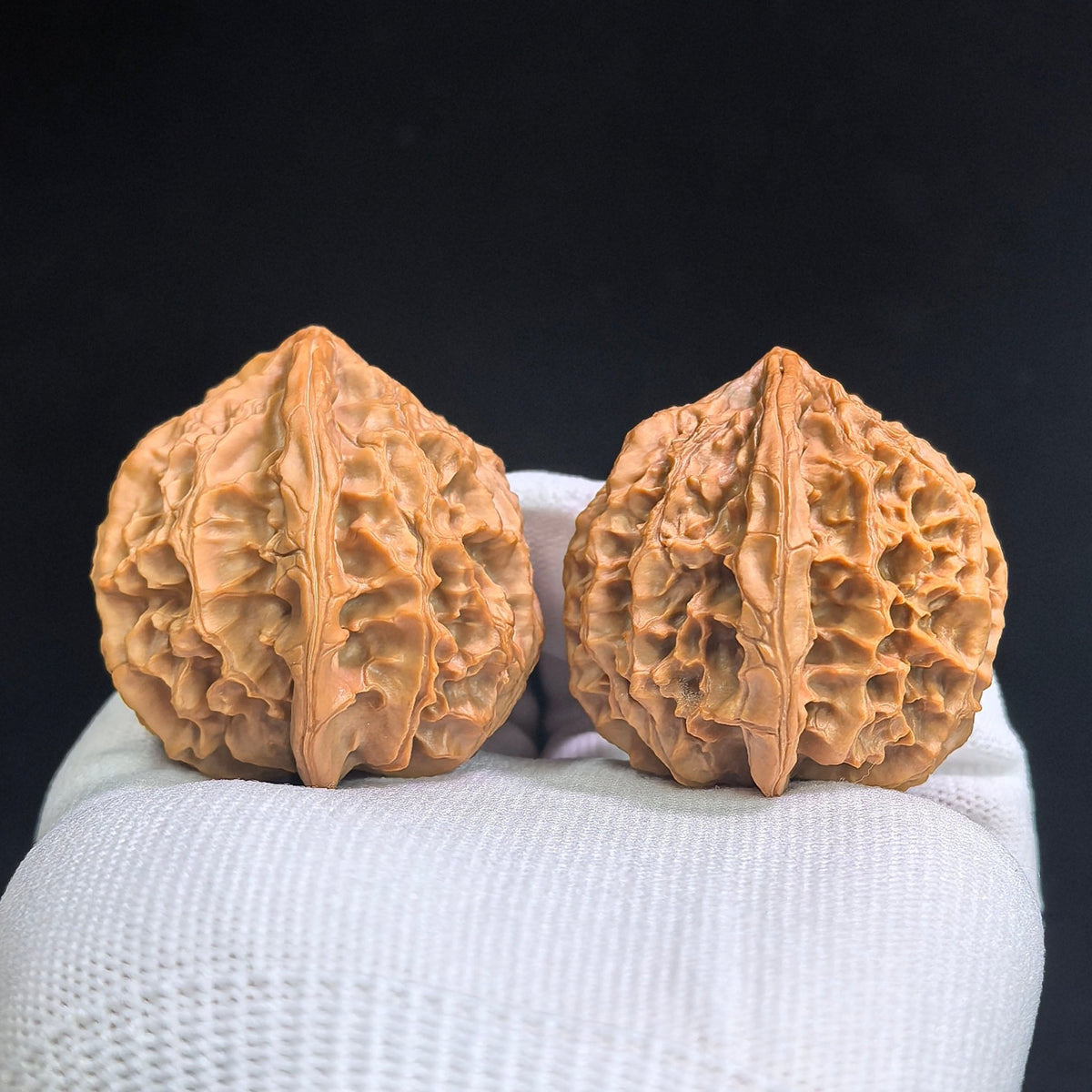 Top Scholar Crown Wenwan Walnut Pair — 45.0mm x 40.0mm | S-Grade Boutique | ZYG-SY1H1 - ThePatinaProject