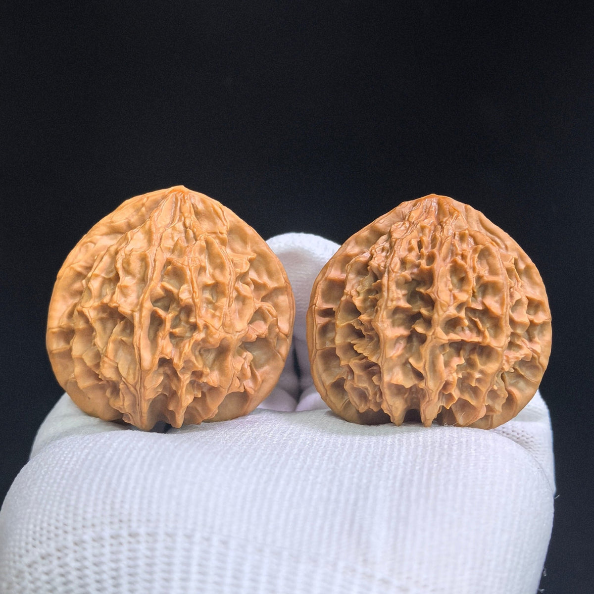 Top Scholar Crown Wenwan Walnut Pair — 45.0mm x 40.0mm | S-Grade Boutique | ZYG-SY1H1 - ThePatinaProject