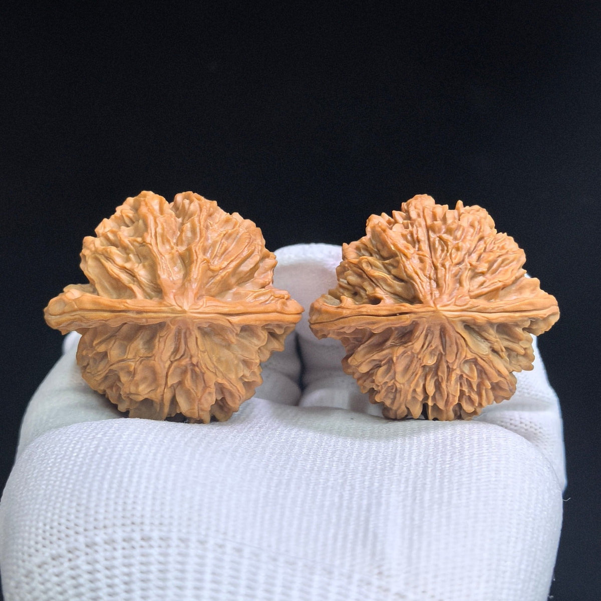 Top Scholar Crown Wenwan Walnut Pair — 45.0mm x 40.0mm | S-Grade Boutique | ZYG-SY1H1 - ThePatinaProject