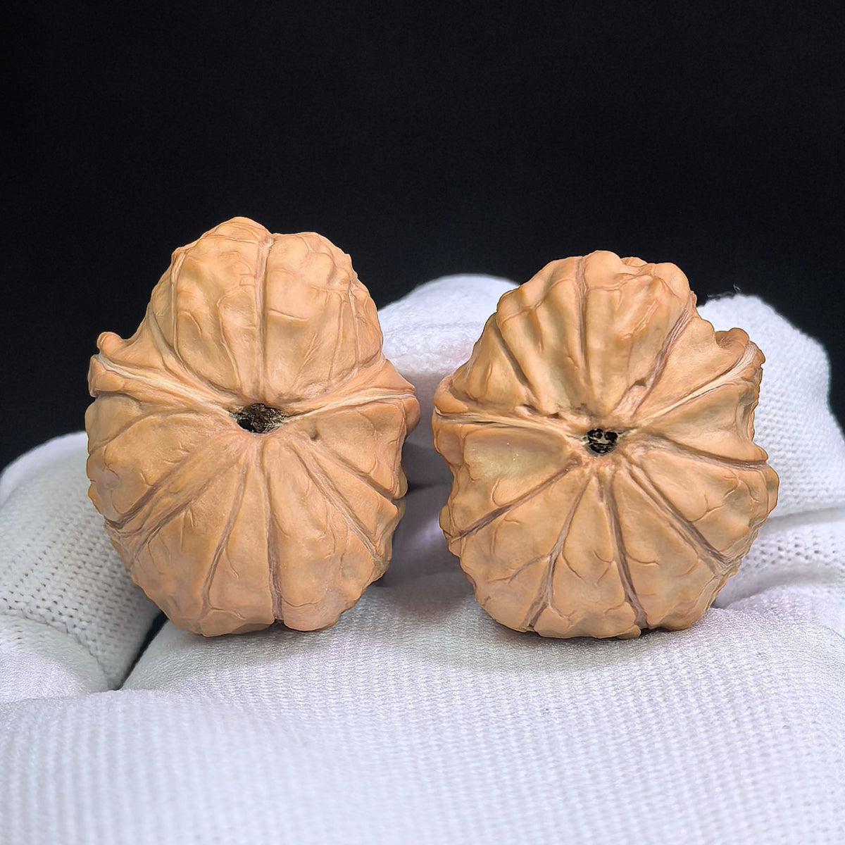 "Tortoise-Shell Half-Wall Turtle-Back" (Gui Jia Wen Ban Bi Gui Bei) Scholar Walnuts Pair | Same-Fruit Biological Twin Pair | 30.0mm x 36.0mm | Collector Grade E | Stock ID: GJWGB-SY1B3 - ThePatinaProject