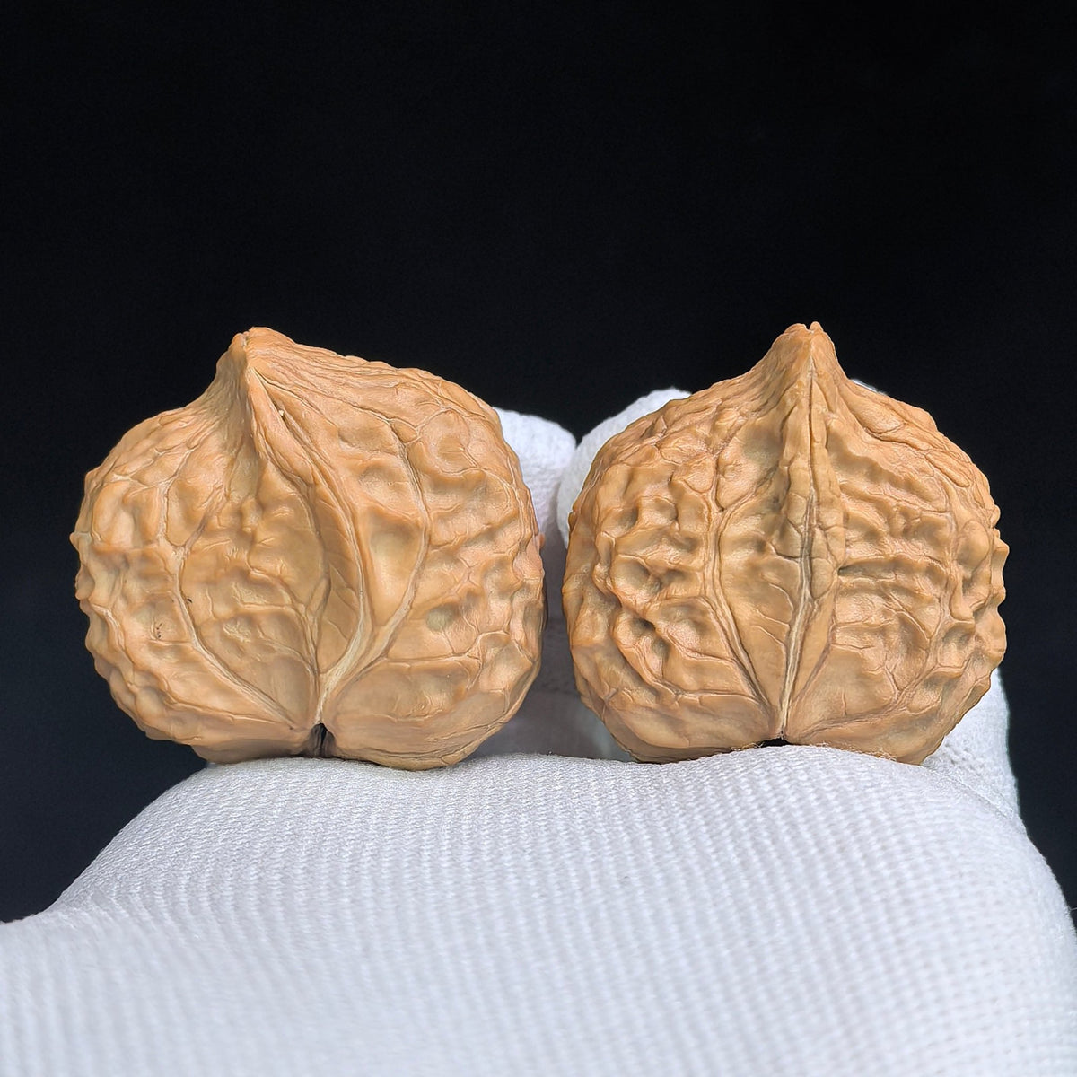 "Tortoise-Shell Hawk-Beak Half-Wall" (Gui Jia Wen Ying Zui Ban Bi) Scholar Walnuts Pair | Same-Fruit Biological Twin Pair | 26.0mm x 35.0mm | Miniature Pocket Format (Shou Nian) | Stock ID: GJW-SY1B7 - ThePatinaProject