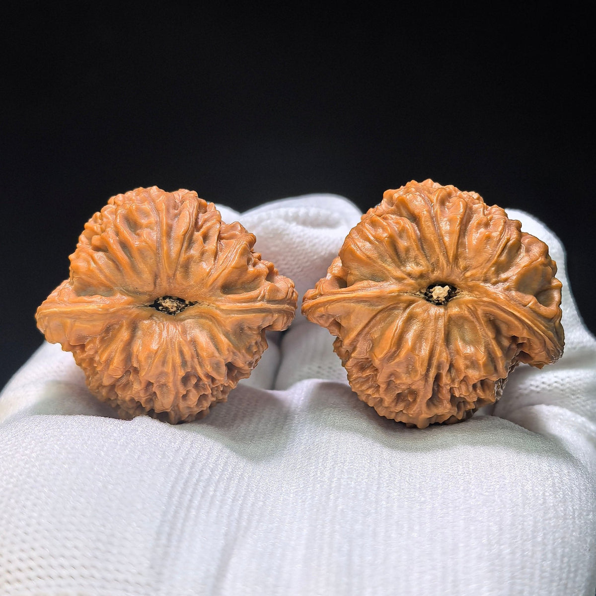 Triangle Concave-Base Nanjiangshi Scholar Walnuts Pair | Premium Select 38.0mm x 37.0mm | Classic Low-Profile Format | Stock ID: NJS-1513C - ThePatinaProject